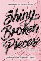 Shiny_broken_pieces